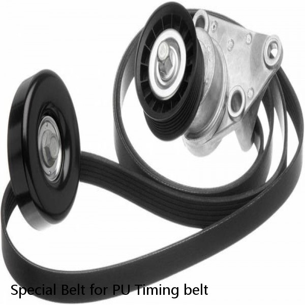 Special Belt for PU Timing belt