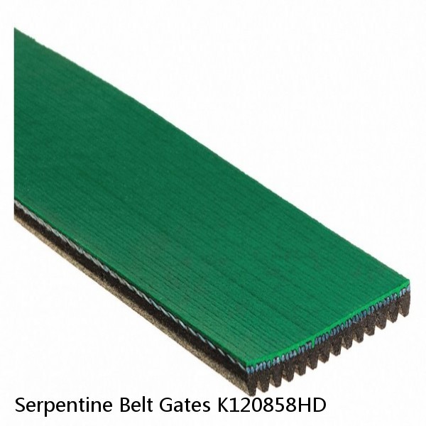 Serpentine Belt Gates K120858HD