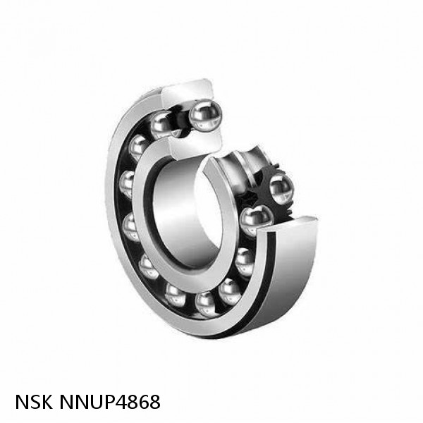 NNUP4868 NSK Double row cylindrical roller bearings