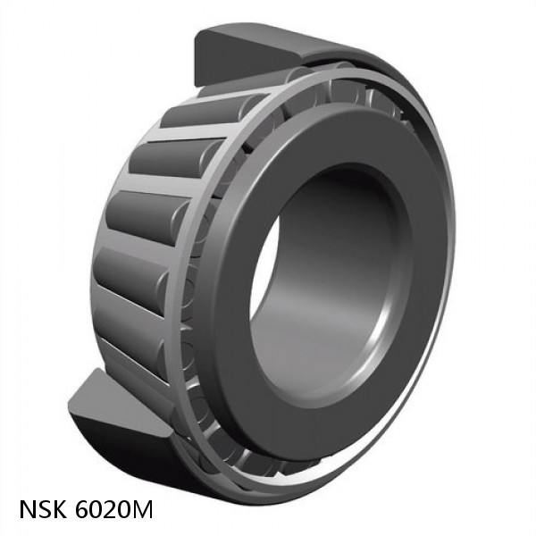 6020M  NSK Deep groove ball bearings