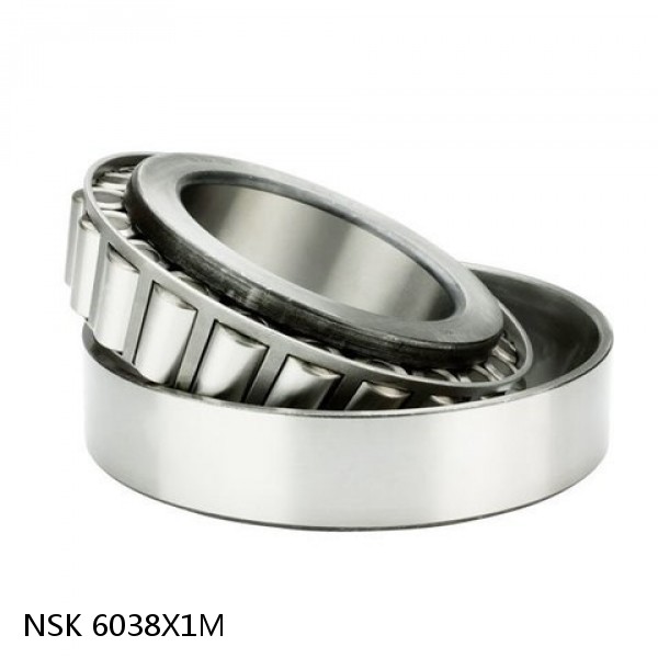 6038X1M NSK Deep groove ball bearings