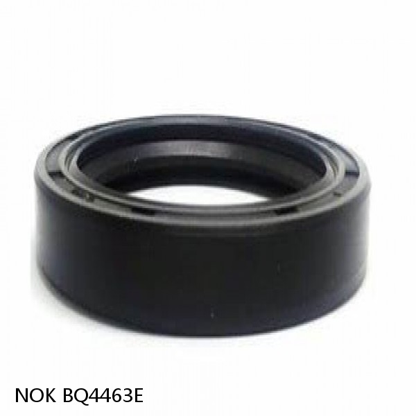 BQ4463E NOK MECHANICAL SEAL