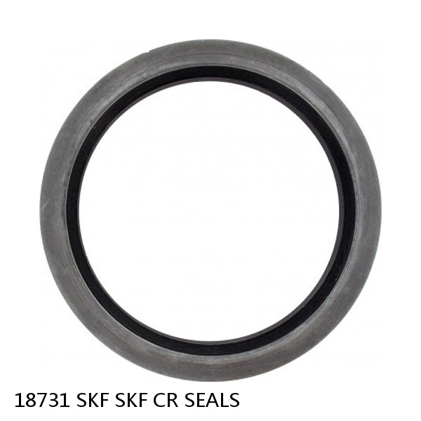 18731 SKF SKF CR SEALS