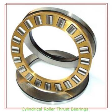 INA GS81117 Roller Thrust Bearing Washers