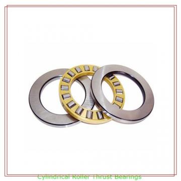 NSK 190RV2704GCG202*0B (Outer Ring) Cylindrical Roller Thrust Bearings