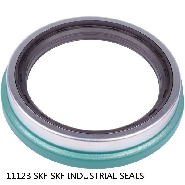 11123 SKF SKF INDUSTRIAL SEALS