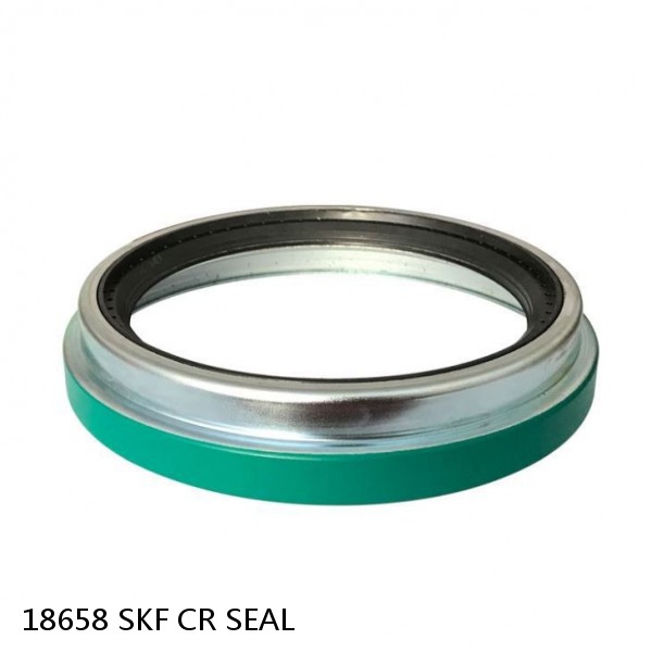 18658 SKF CR SEAL