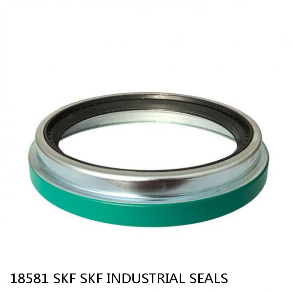 18581 SKF SKF INDUSTRIAL SEALS